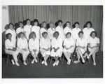 Licensed Practical Nurse graduates, 1991