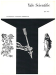 Yale Scientific Magazine; Volume 36, Number 8