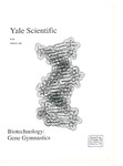 Yale Scientific Magazine: Volume 62, Number 3