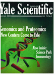 Yale Scientific Magazine: Volume 76, Number 4